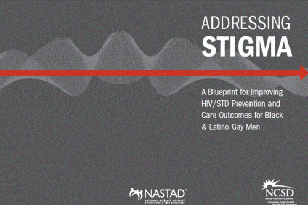 Plan de Acción para mejorar los resultados de la Prevención y Cuidado del VIH/ETS para Hombres Gay Latinos y Afroamericanos